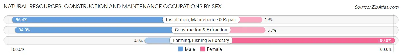 Natural Resources, Construction and Maintenance Occupations by Sex in Zip Code 47586