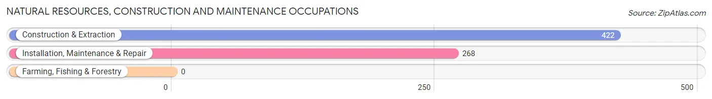 Natural Resources, Construction and Maintenance Occupations in Zip Code 47601