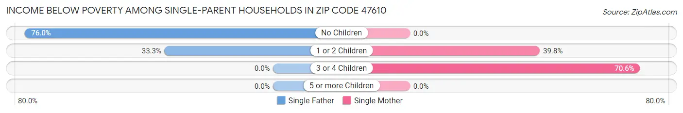 Income Below Poverty Among Single-Parent Households in Zip Code 47610