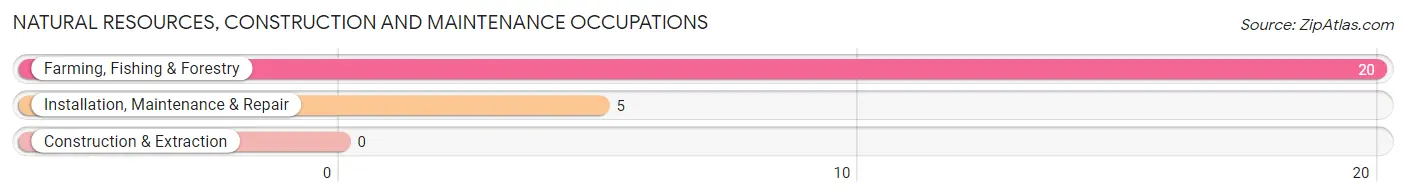 Natural Resources, Construction and Maintenance Occupations in Zip Code 47708