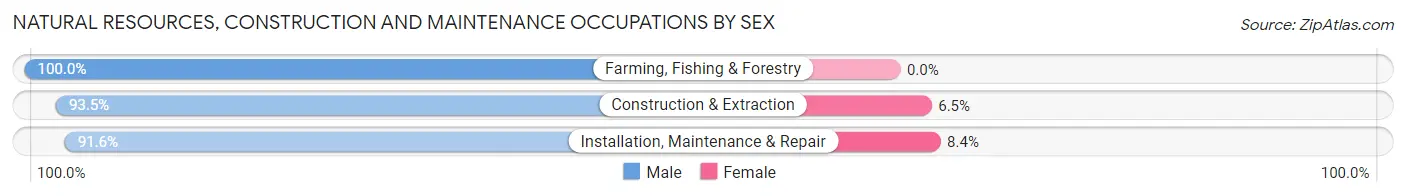 Natural Resources, Construction and Maintenance Occupations by Sex in Zip Code 47802