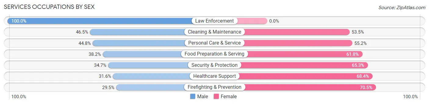 Services Occupations by Sex in Zip Code 47807