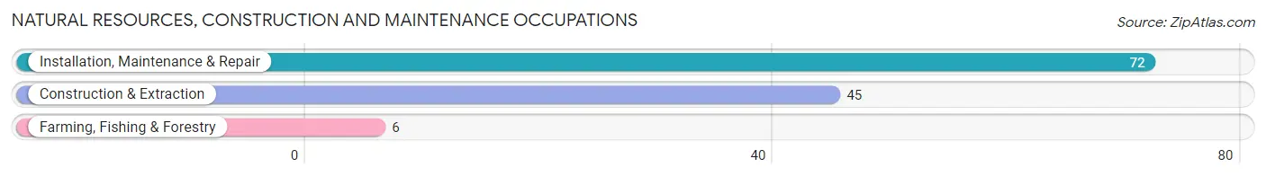 Natural Resources, Construction and Maintenance Occupations in Zip Code 47838