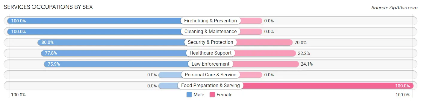 Services Occupations by Sex in Zip Code 47862