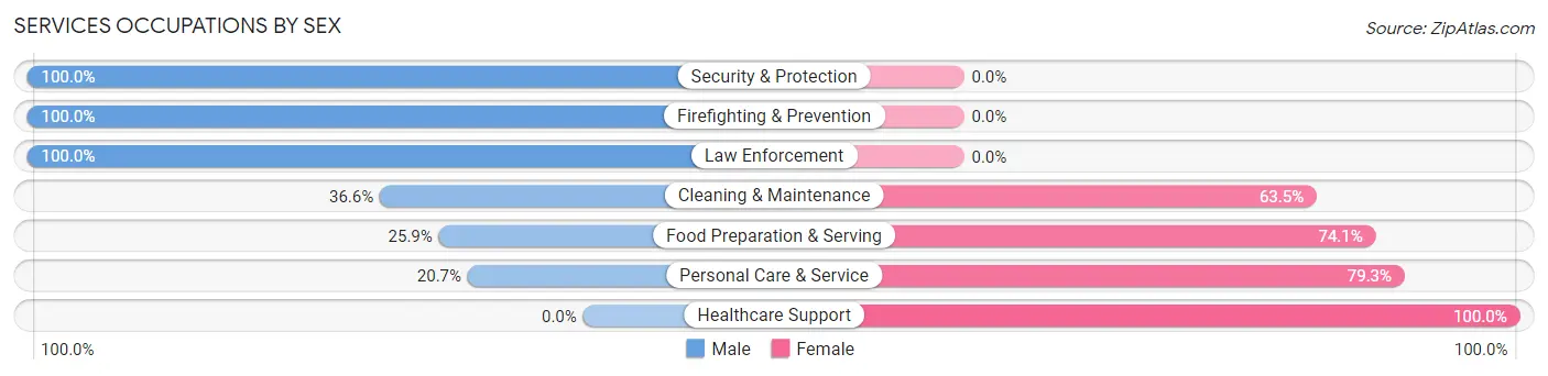 Services Occupations by Sex in Zip Code 47885