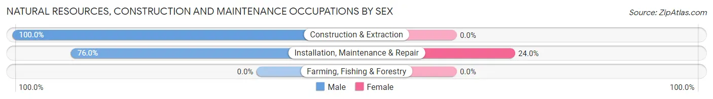 Natural Resources, Construction and Maintenance Occupations by Sex in Zip Code 47918