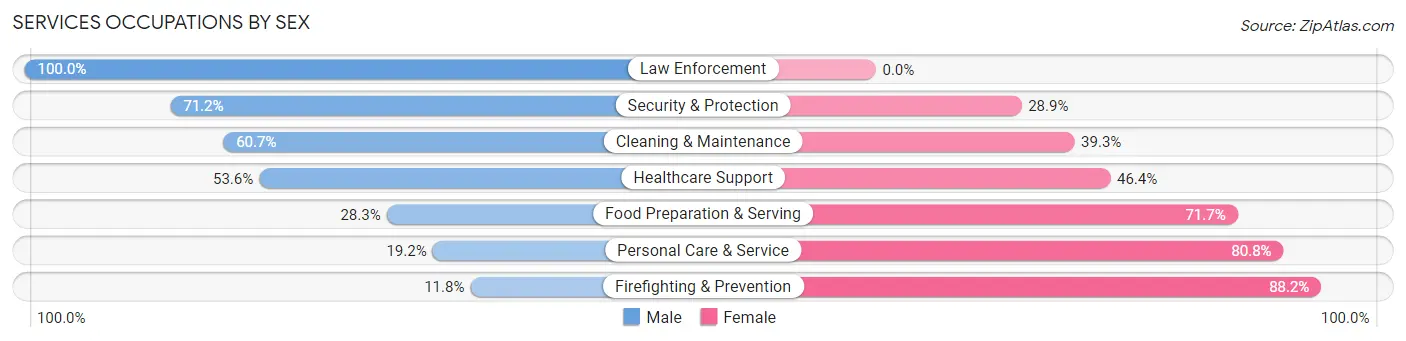Services Occupations by Sex in Zip Code 47932