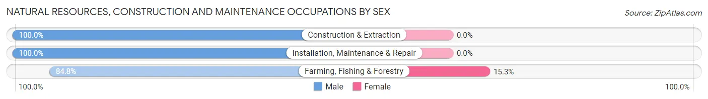 Natural Resources, Construction and Maintenance Occupations by Sex in Zip Code 47942