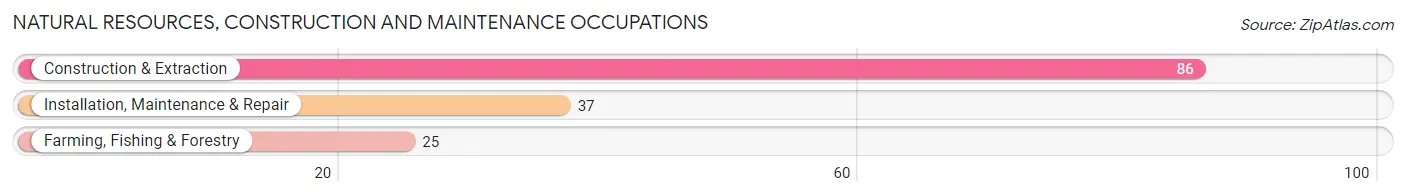 Natural Resources, Construction and Maintenance Occupations in Zip Code 47944