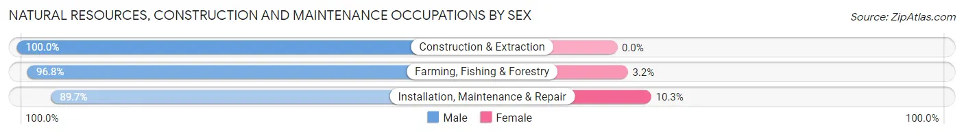 Natural Resources, Construction and Maintenance Occupations by Sex in Zip Code 47946