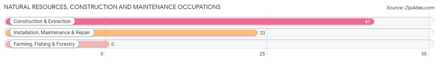 Natural Resources, Construction and Maintenance Occupations in Zip Code 47950