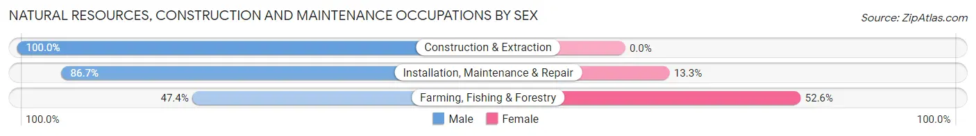 Natural Resources, Construction and Maintenance Occupations by Sex in Zip Code 47951