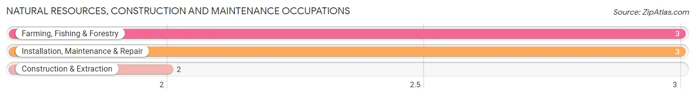 Natural Resources, Construction and Maintenance Occupations in Zip Code 47965