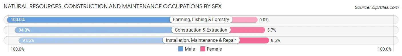 Natural Resources, Construction and Maintenance Occupations by Sex in Zip Code 47970