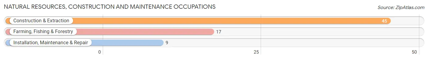 Natural Resources, Construction and Maintenance Occupations in Zip Code 47981