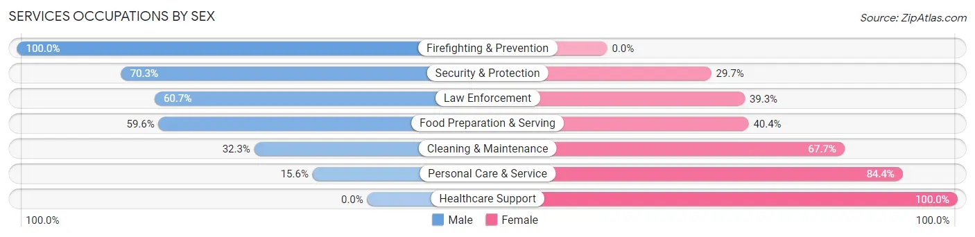 Services Occupations by Sex in Zip Code 47987