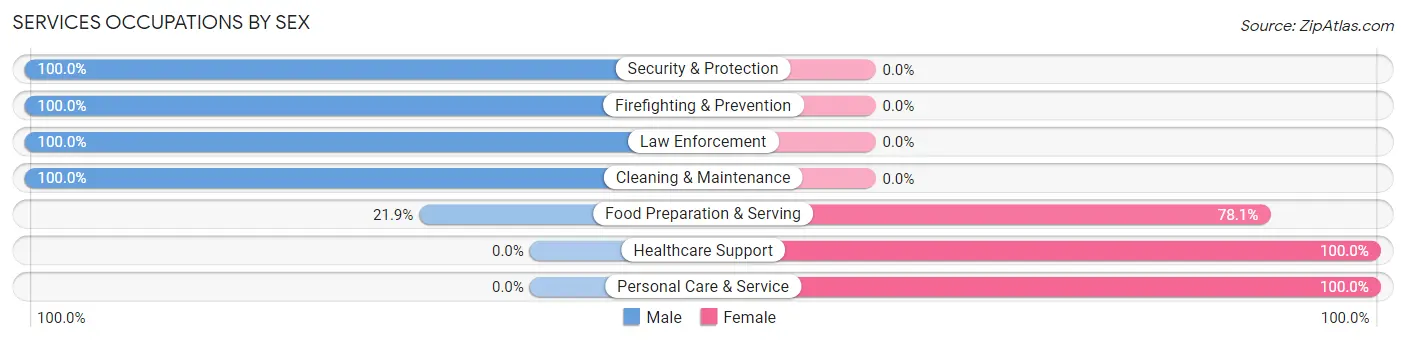 Services Occupations by Sex in Zip Code 47990
