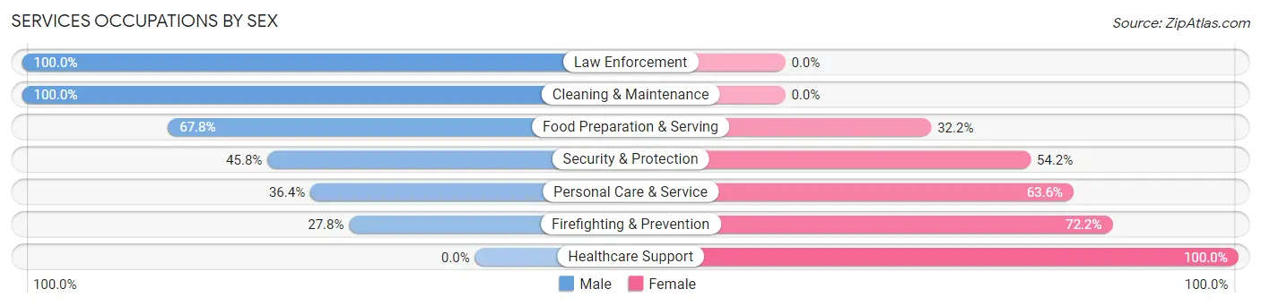 Services Occupations by Sex in Zip Code 48002