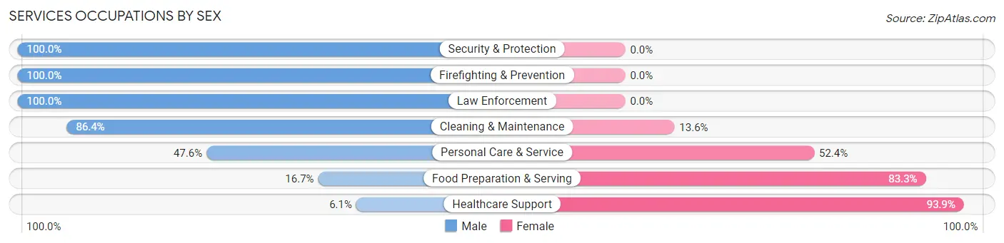 Services Occupations by Sex in Zip Code 48006