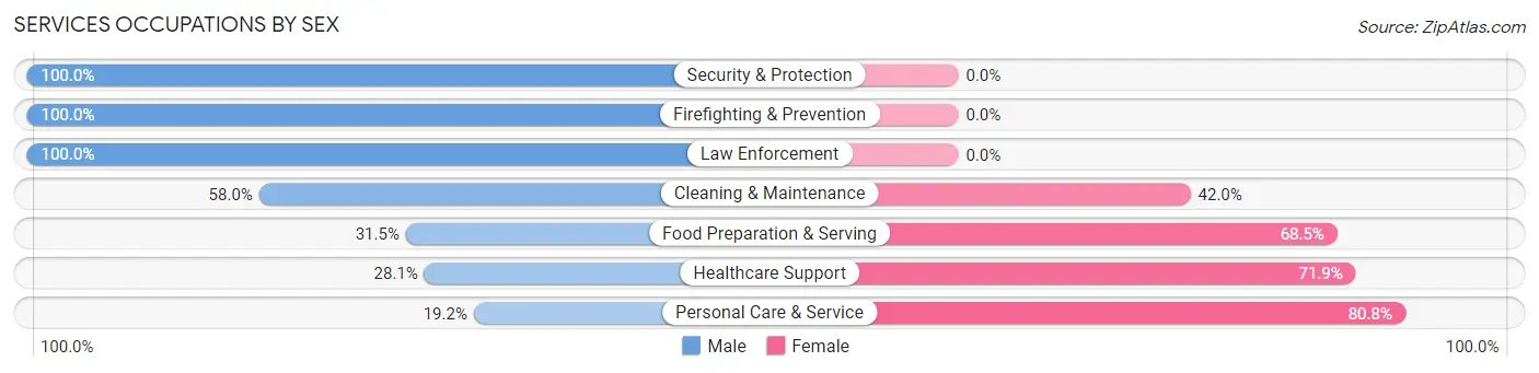 Services Occupations by Sex in Zip Code 48030