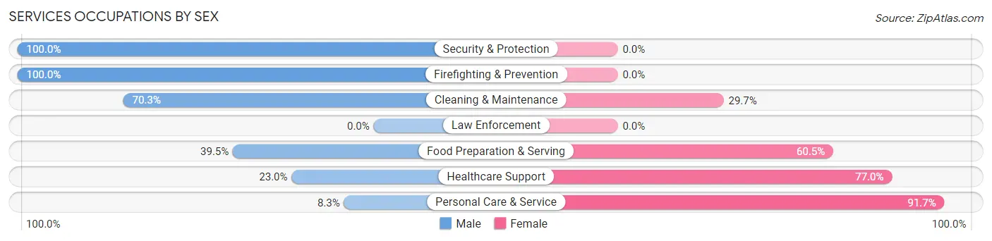 Services Occupations by Sex in Zip Code 48039