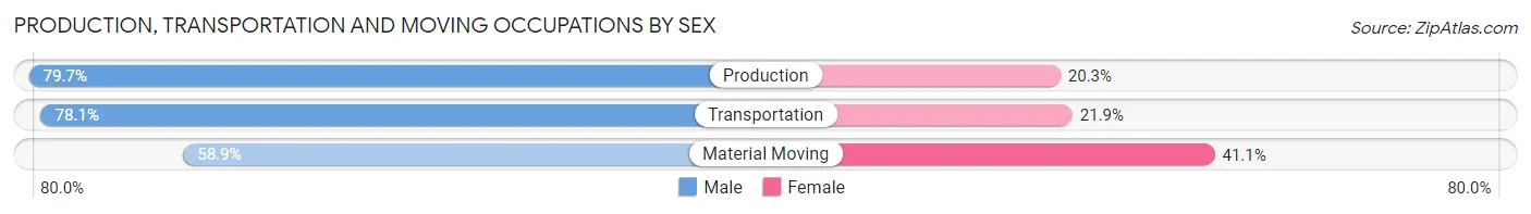 Production, Transportation and Moving Occupations by Sex in Zip Code 48041