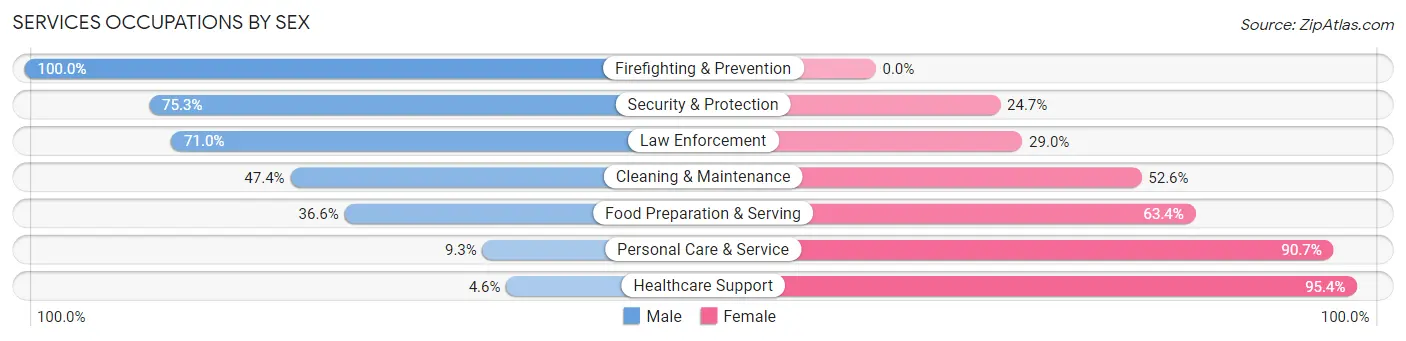 Services Occupations by Sex in Zip Code 48041