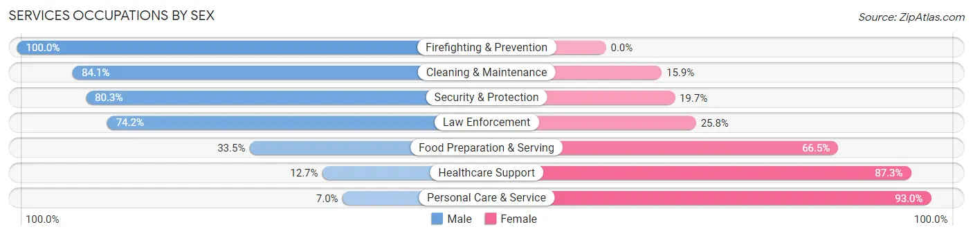 Services Occupations by Sex in Zip Code 48045