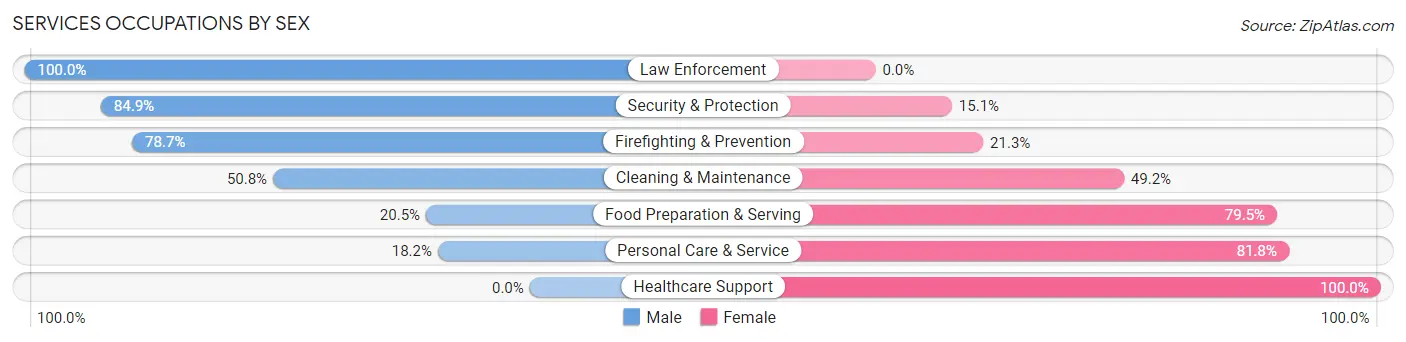 Services Occupations by Sex in Zip Code 48049