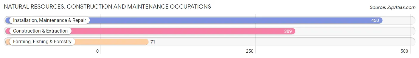 Natural Resources, Construction and Maintenance Occupations in Zip Code 48051