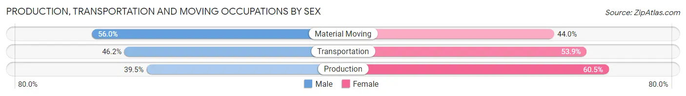 Production, Transportation and Moving Occupations by Sex in Zip Code 48069