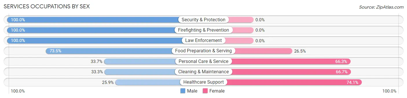 Services Occupations by Sex in Zip Code 48070