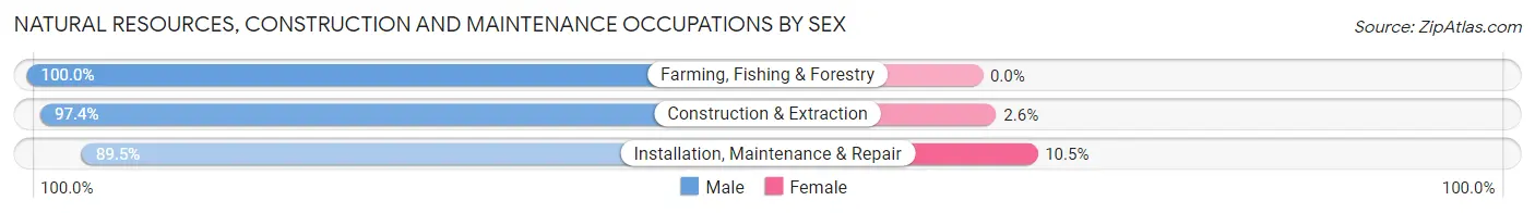 Natural Resources, Construction and Maintenance Occupations by Sex in Zip Code 48073