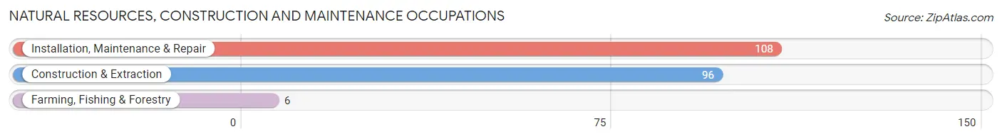 Natural Resources, Construction and Maintenance Occupations in Zip Code 48095