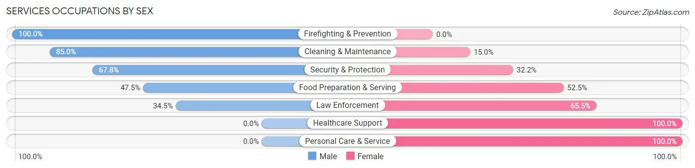 Services Occupations by Sex in Zip Code 48096