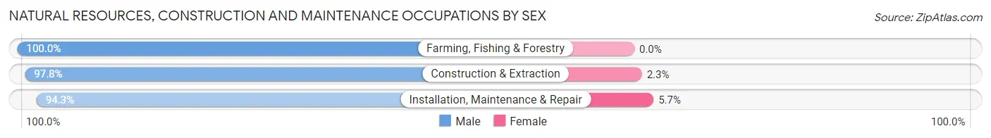 Natural Resources, Construction and Maintenance Occupations by Sex in Zip Code 48101