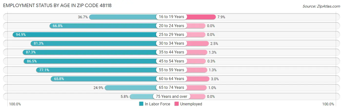 Employment Status by Age in Zip Code 48118