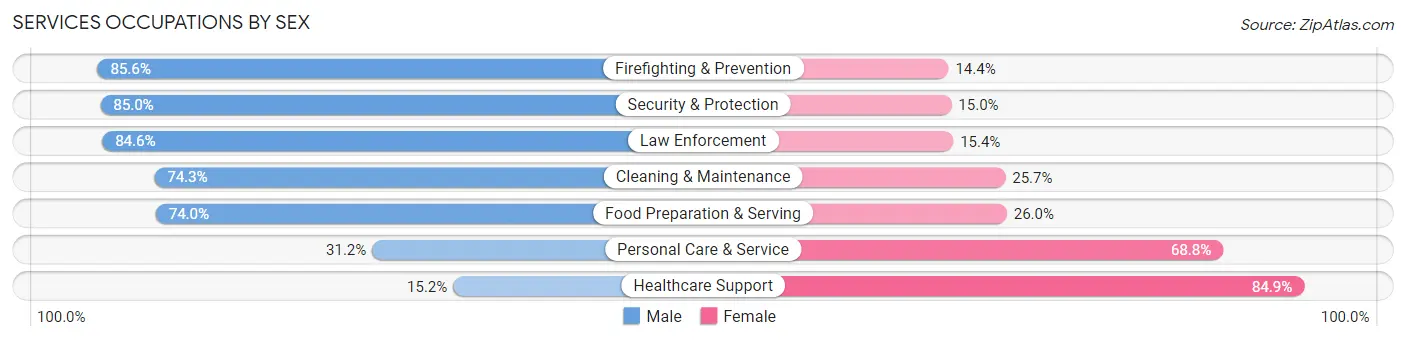 Services Occupations by Sex in Zip Code 48126