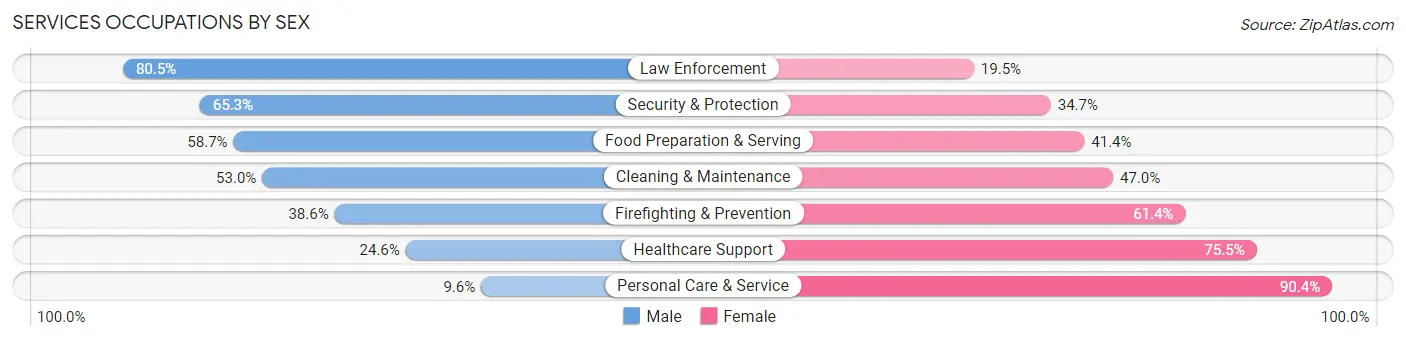 Services Occupations by Sex in Zip Code 48127