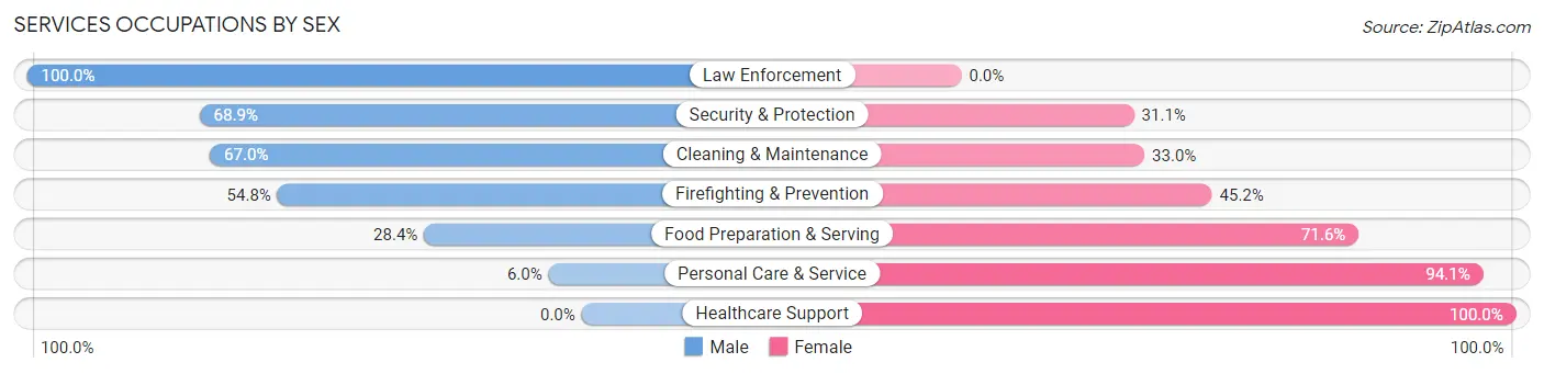Services Occupations by Sex in Zip Code 48128