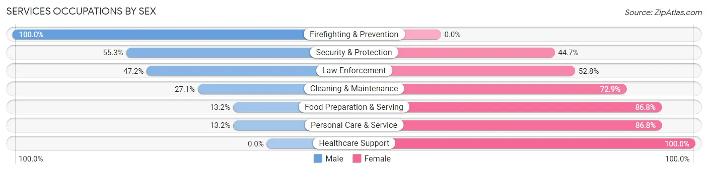 Services Occupations by Sex in Zip Code 48144