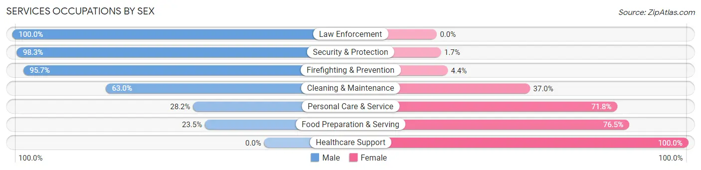 Services Occupations by Sex in Zip Code 48160