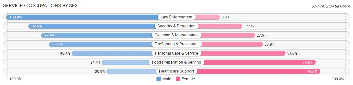 Services Occupations by Sex in Zip Code 48162
