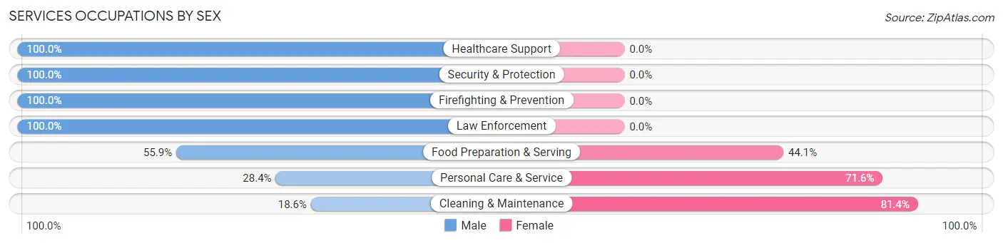 Services Occupations by Sex in Zip Code 48165