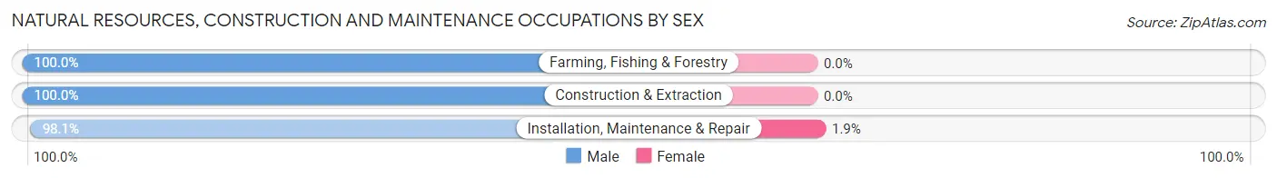 Natural Resources, Construction and Maintenance Occupations by Sex in Zip Code 48173
