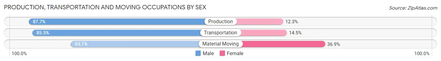 Production, Transportation and Moving Occupations by Sex in Zip Code 48173