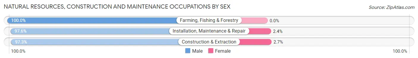Natural Resources, Construction and Maintenance Occupations by Sex in Zip Code 48178