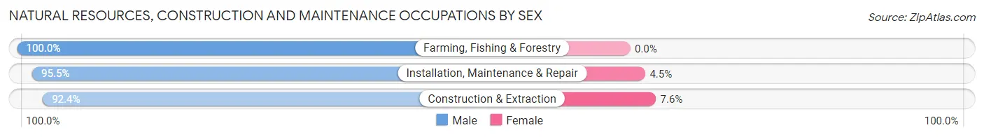 Natural Resources, Construction and Maintenance Occupations by Sex in Zip Code 48185