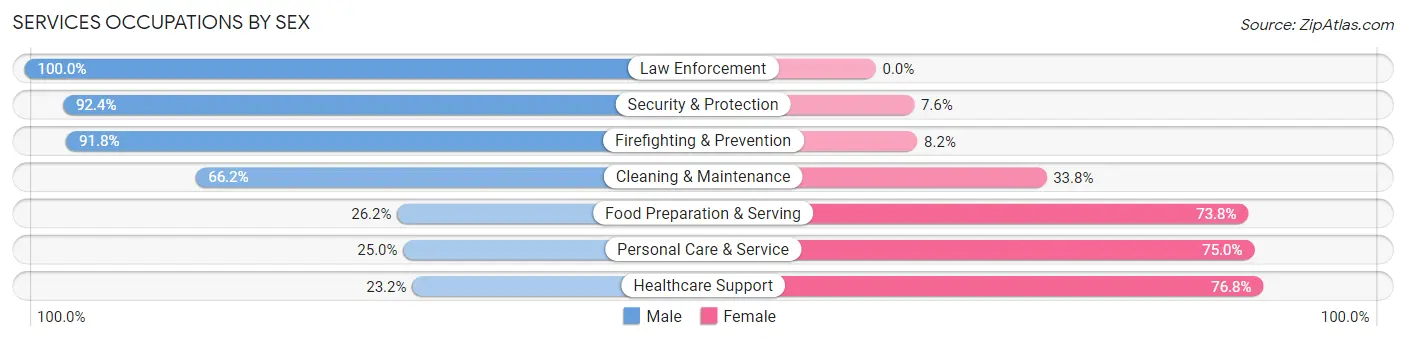 Services Occupations by Sex in Zip Code 48189