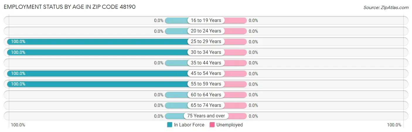 Employment Status by Age in Zip Code 48190